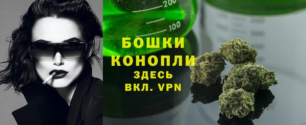 PSILOCYBIN Верхний Тагил