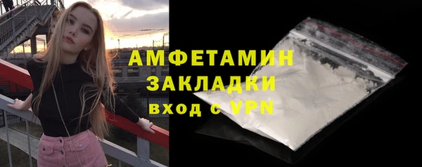 прущие грибы Александровское