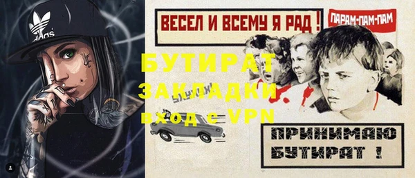 прущие грибы Александровское