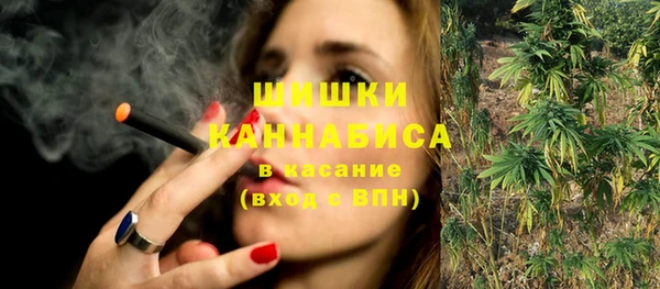 PSILOCYBIN Верхний Тагил